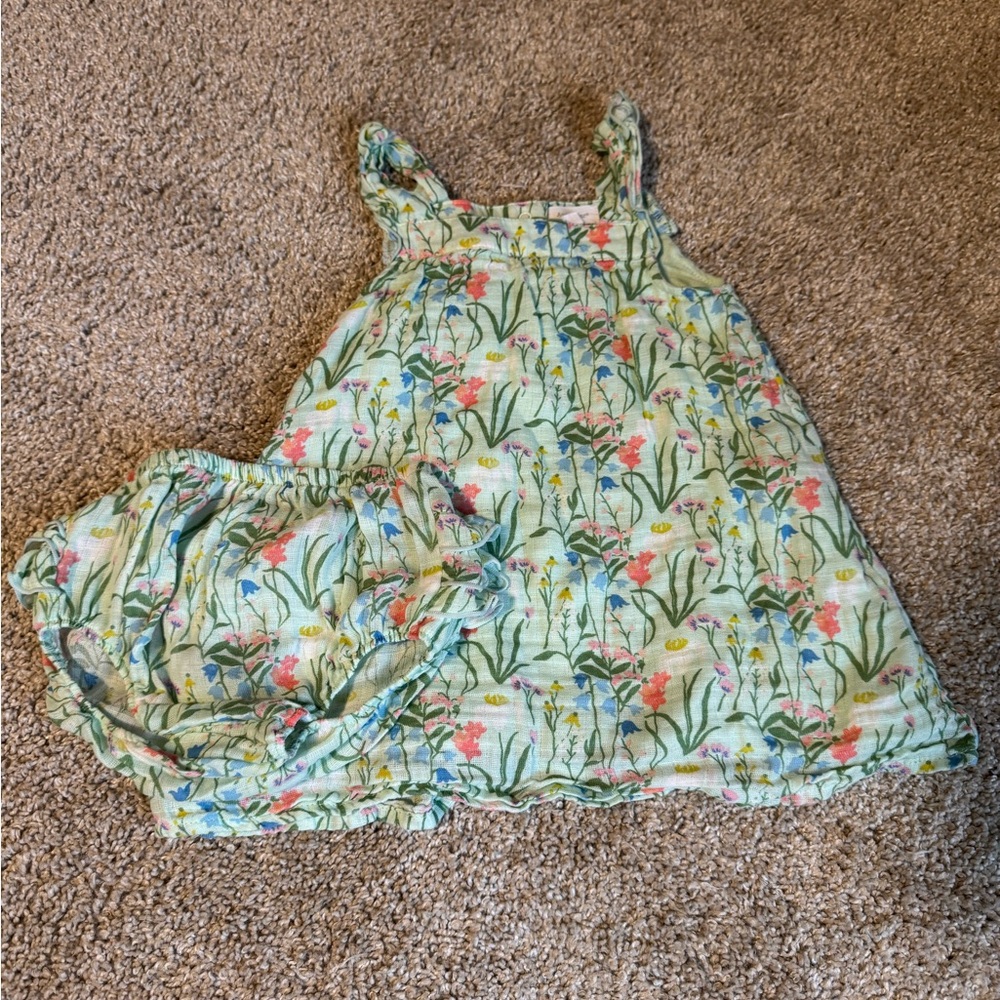 Angel Dear Dress and Bloomers Set 12-18 Mo